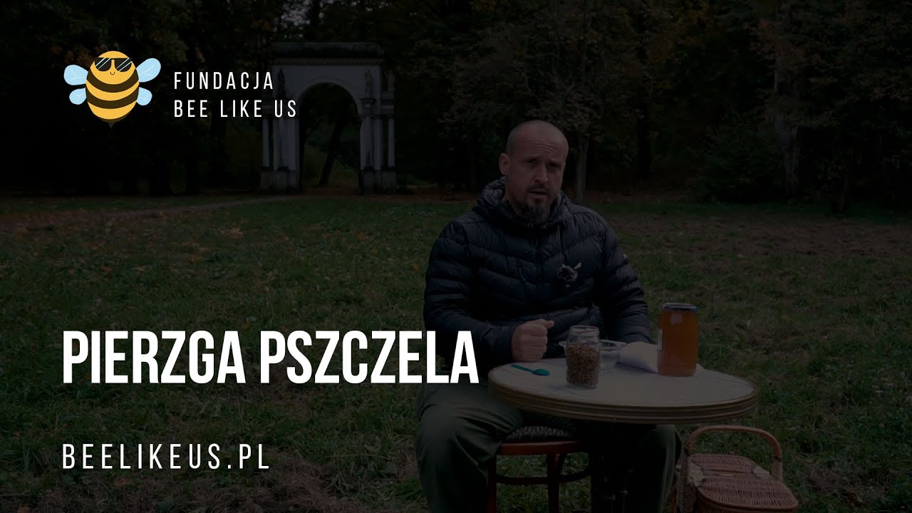Pierzga pszczela - właściwości prozdrowotne oraz recepta jak ją stosować.