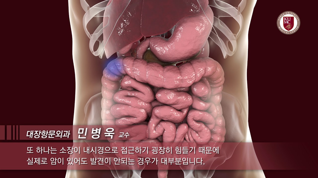 [건강정보] 왜 소장암은 없고 대장암만 발병하나요?