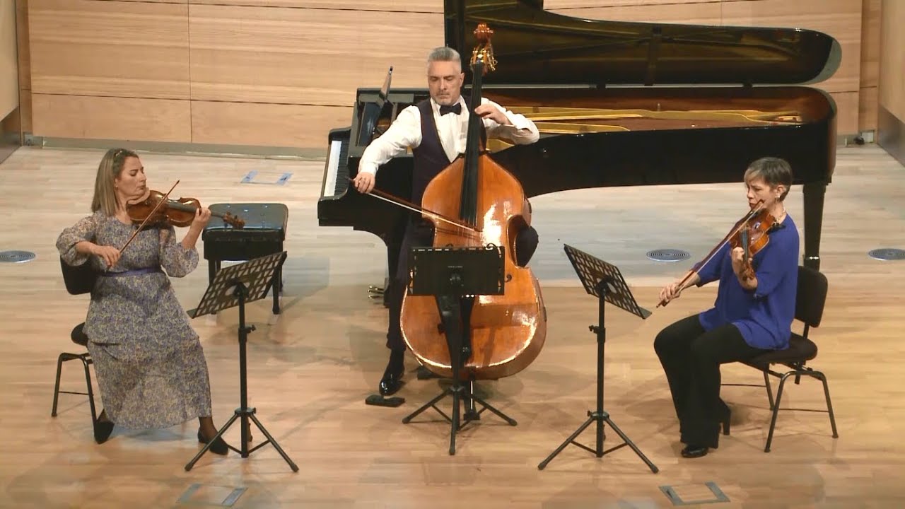 Johann Baptist Vanhal - Divertimento in G-Dur