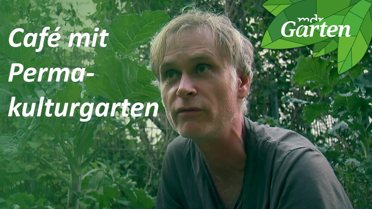 Kr&auml;uter-Caf&eacute; mit Permakultur-Garten in Berlin | MDR Garten