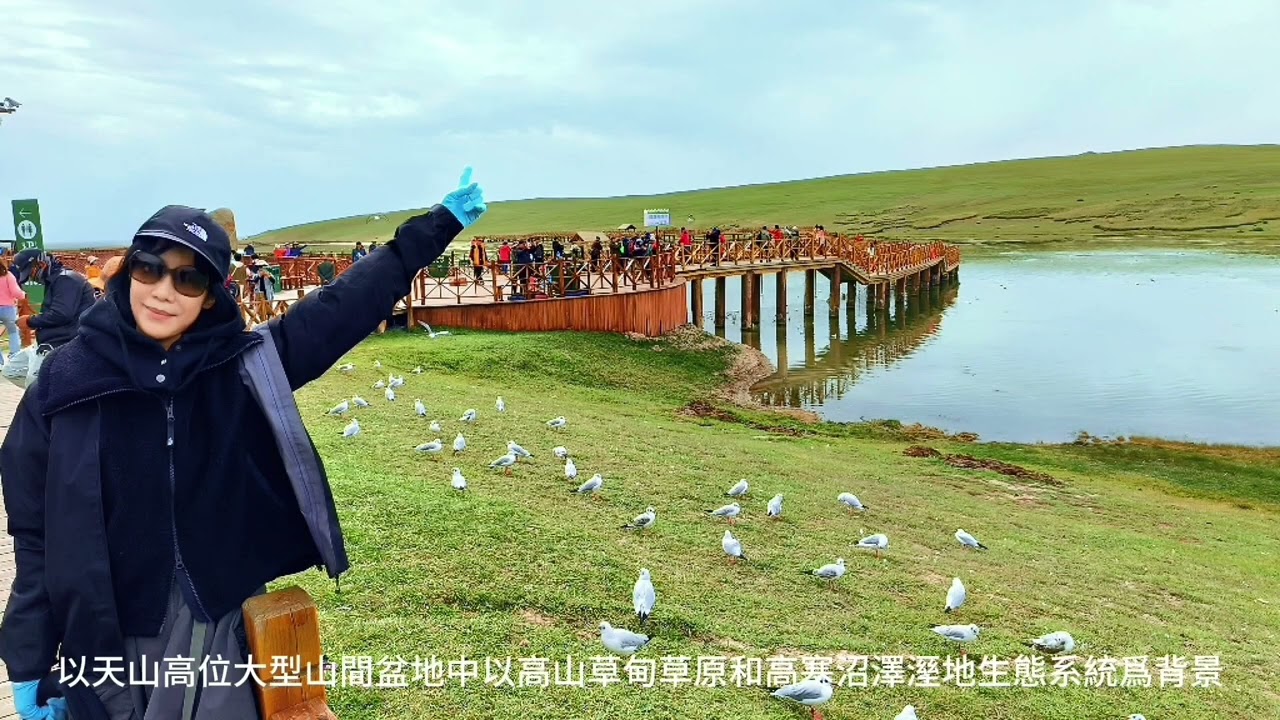 北疆-喀納斯湖-獨庫公路-獨山子大峽谷-巴音布魯克草原-五彩灘-禾木村----經典遊