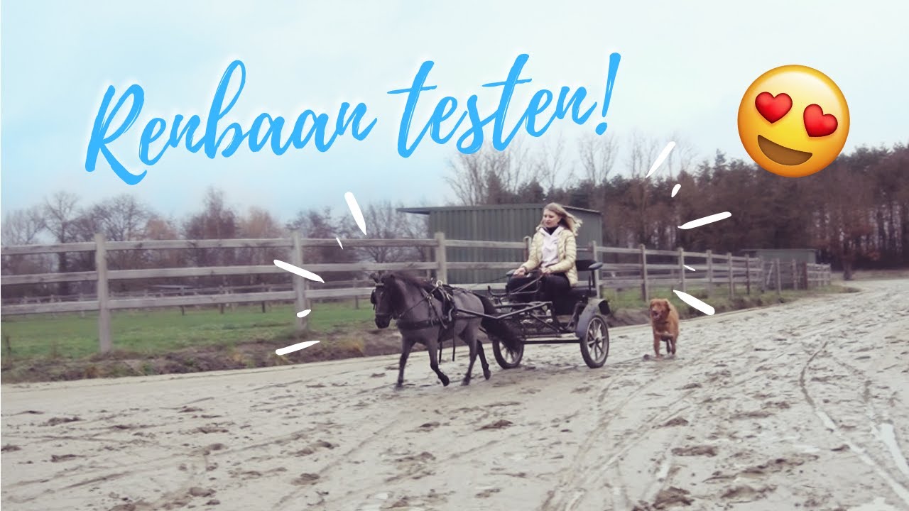 EERSTE DAG met de PAARDEN OP DE NIEUWE STAL! 💖