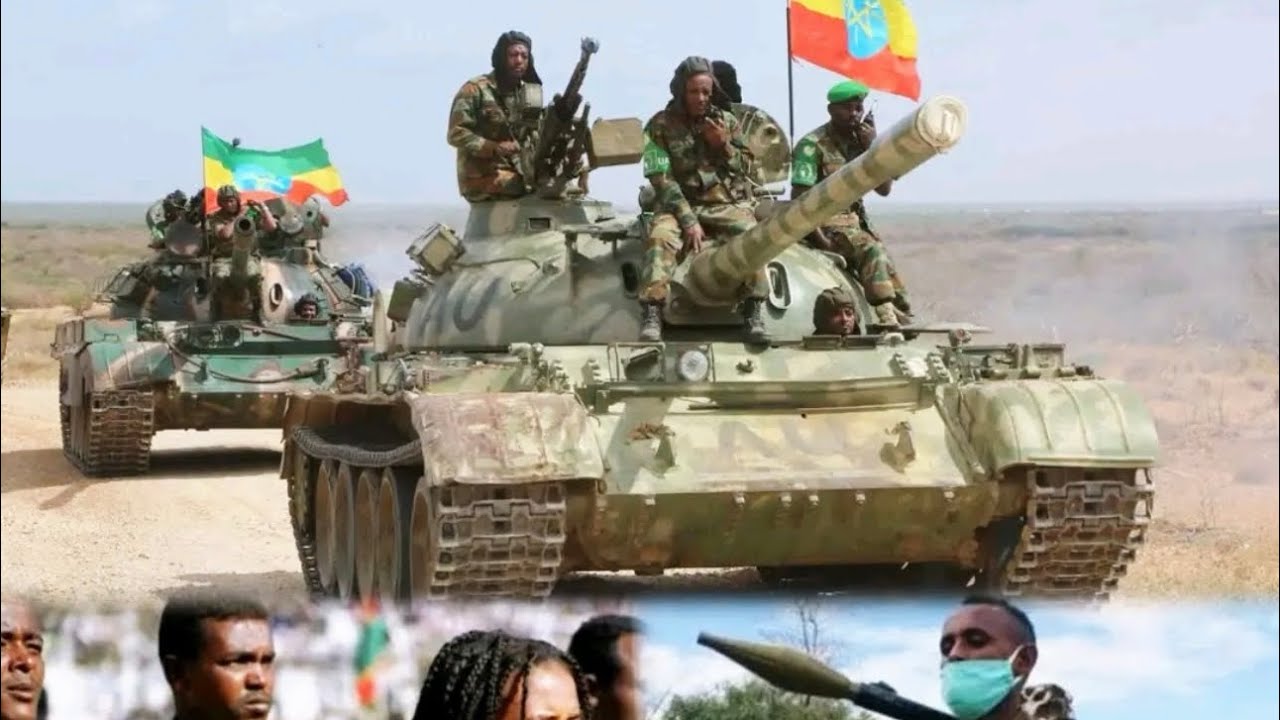HNN:Oduu Olmaya Oromiyaa & Addunyaa. Feb.19, 2026