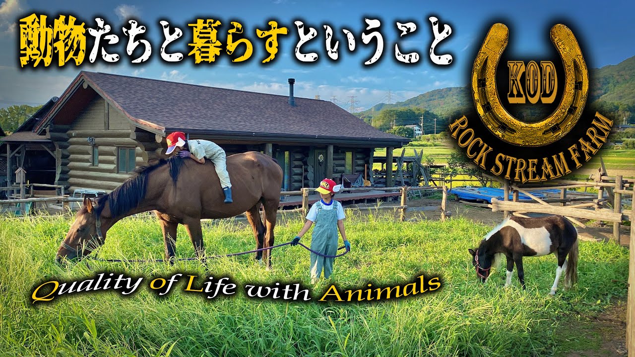 動物たちと暮らすということ・我が家の家族を紹介／Quality of Life with Animals Vol.96【Rock Stream Farm】