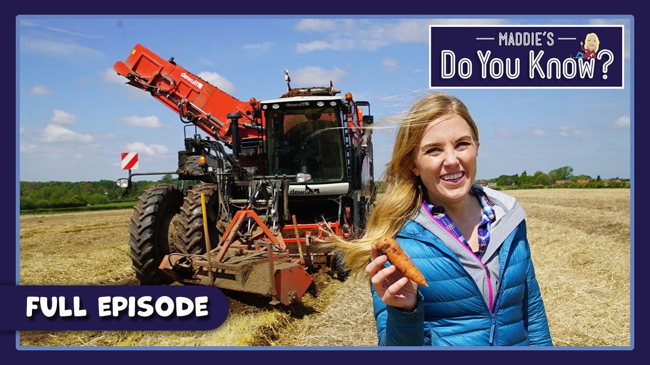 Drinking Water and Carrots | Maddie's Do You Know 🔎 Series 4, Episode 5 | FULL EPISODE
