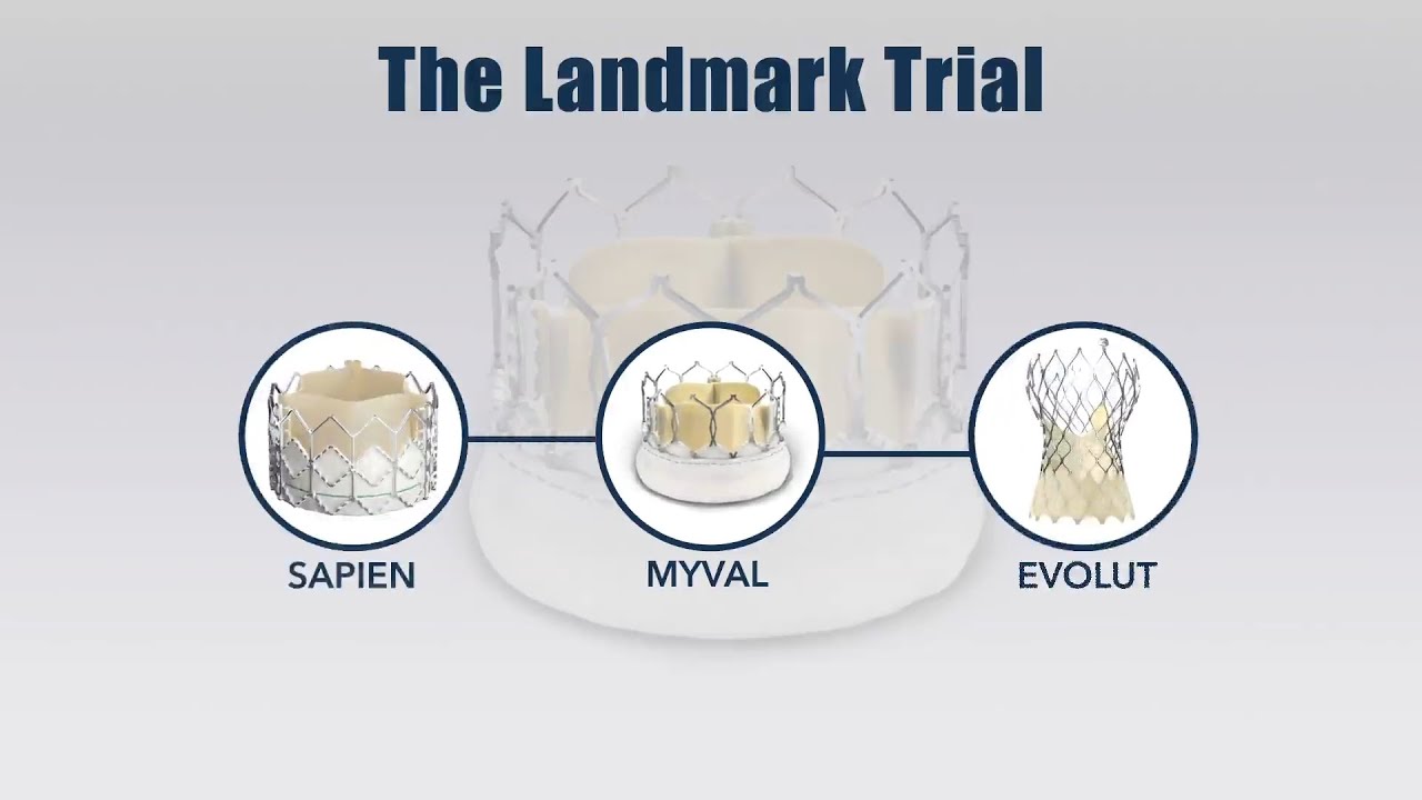 LANDMARK trial: Early outcomes of a randomised non-inferiority trial comparing TAVI devices