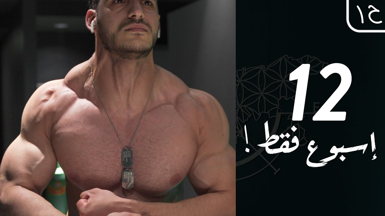 ضخم صدرك | خطة التمارين