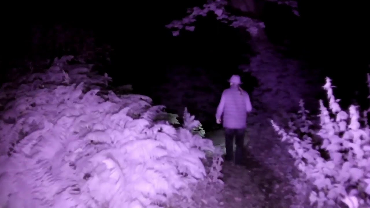 The Howling Wood - Ghost Hunt!
