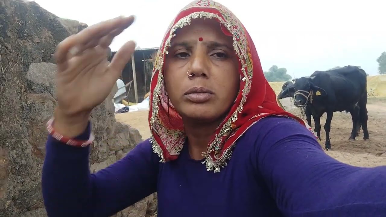 Madhumeena11124ll👉 गे बे सों के बारे में जबरदस्त वीडियो 🤩ll Lo FIR Dekho aage video 👀😍more... 👇