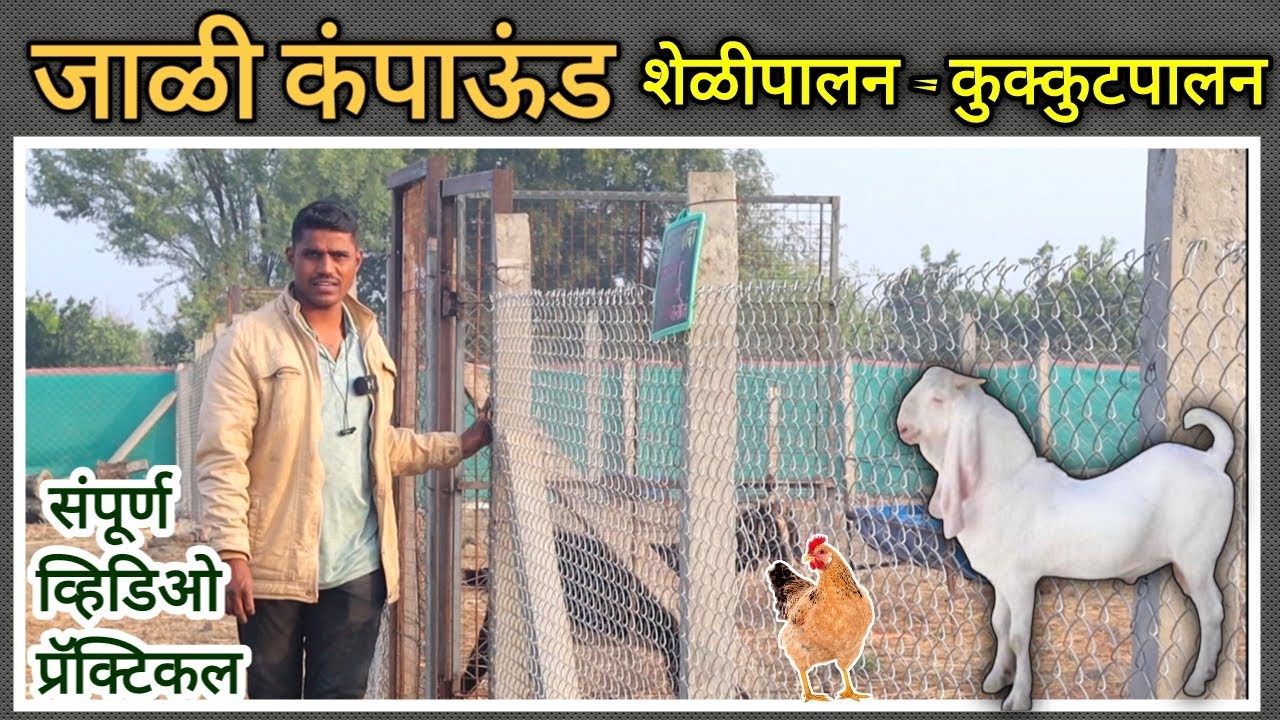संपूर्ण जाळी कंपाऊंड | शेळीपालन, कुक्कुटपालन कंपाऊंड #viral