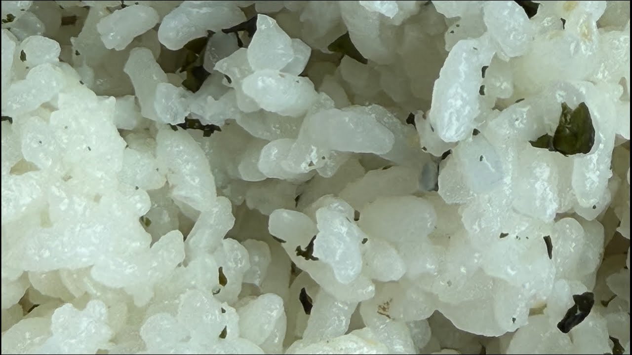 【恥ずかしいからスパチャ&いいね絶対禁止】！