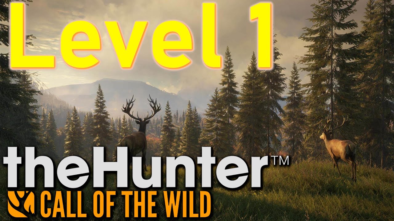 Zaczynam Od Nowa💥Level 1💥 TheHunter: COTW | Live