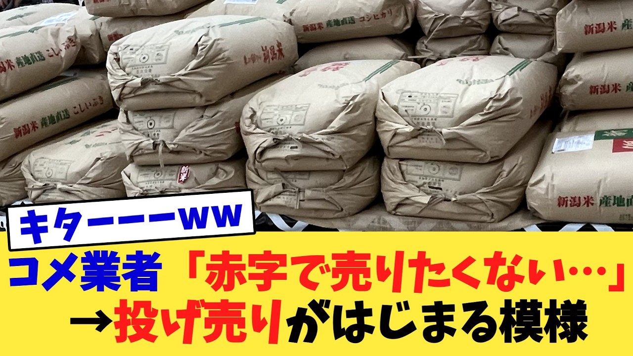 コメ業者「赤字で売りたくない…」→投げ売りがはじまる模様