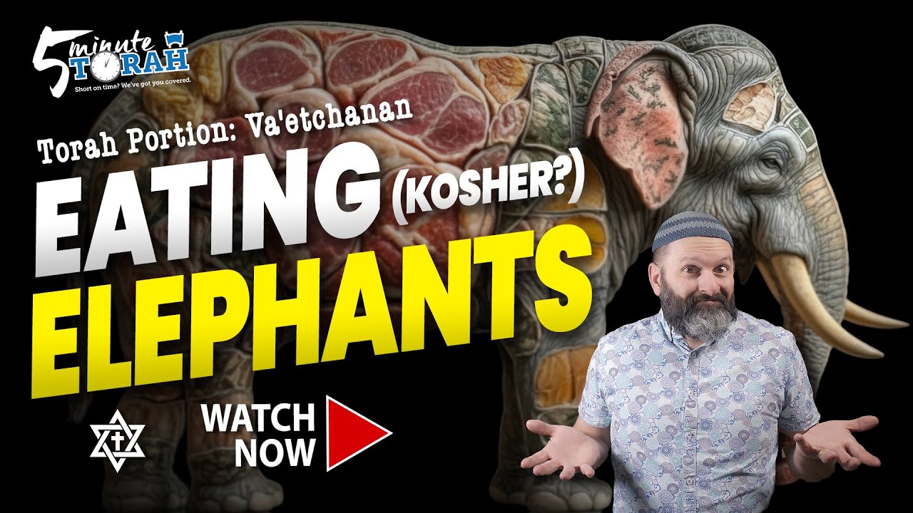 Struggling With God’s Plan? Lessons From Va'etchanan, Moses & The Shema | 5 Minute Torah
