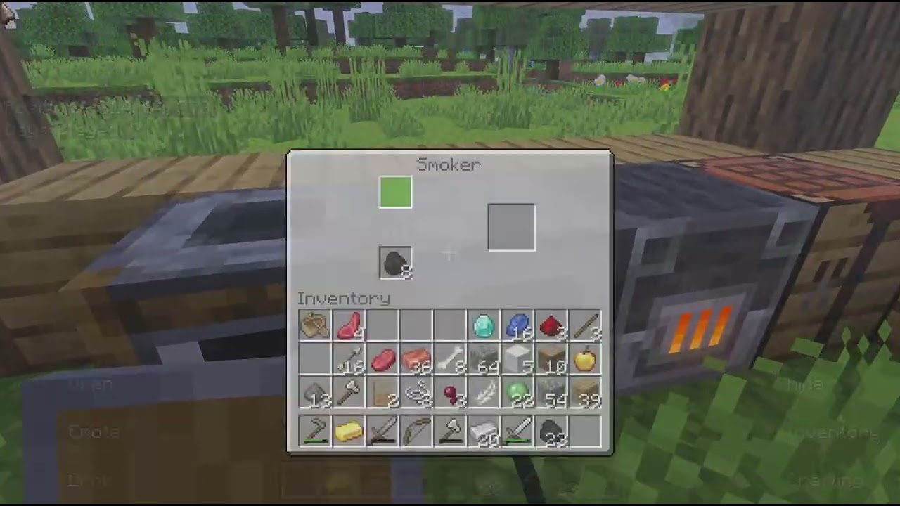 Minecraft part 5