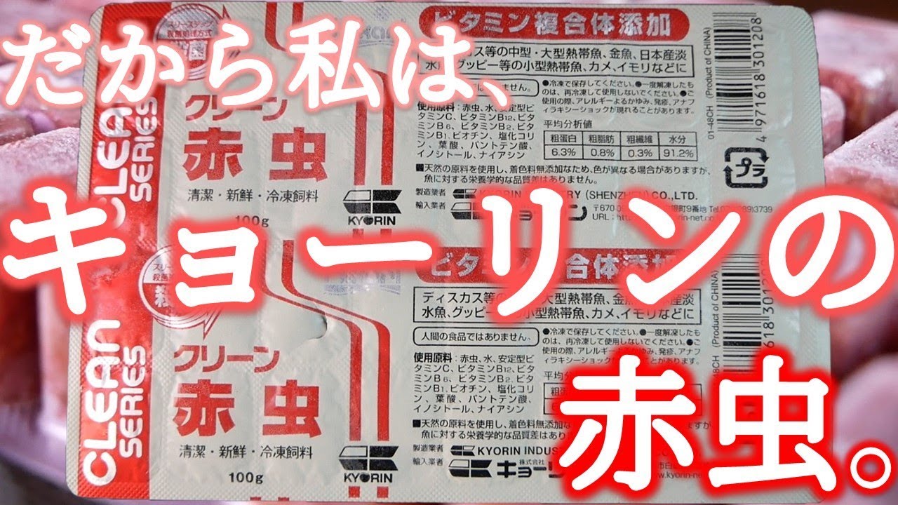 【冷凍赤虫】クリーン赤虫の上げ方。ミニキューブとの違いはあるのか？【ふぶきテトラ】