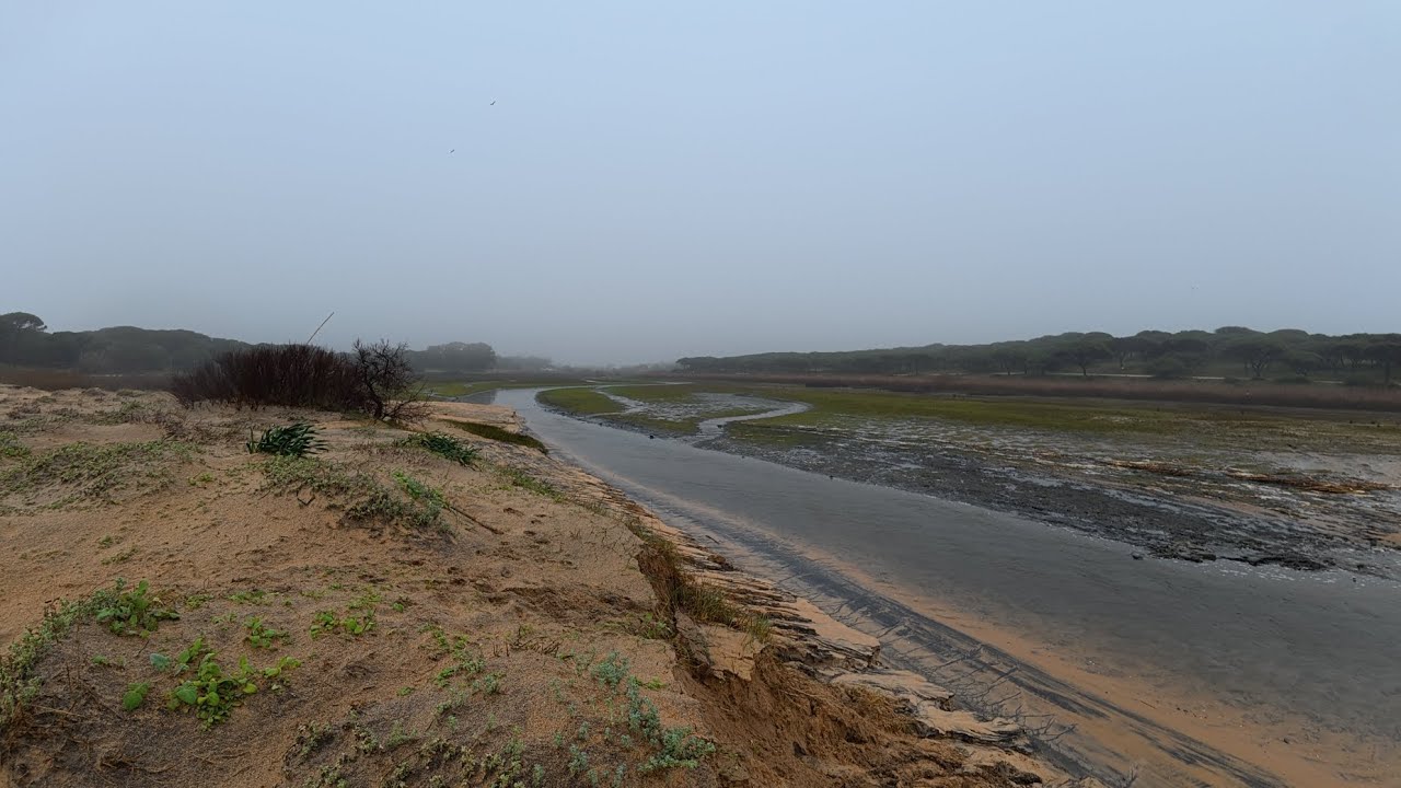 Quarteira, lá se foi a lagoa do Almargem 9 Fev 2026