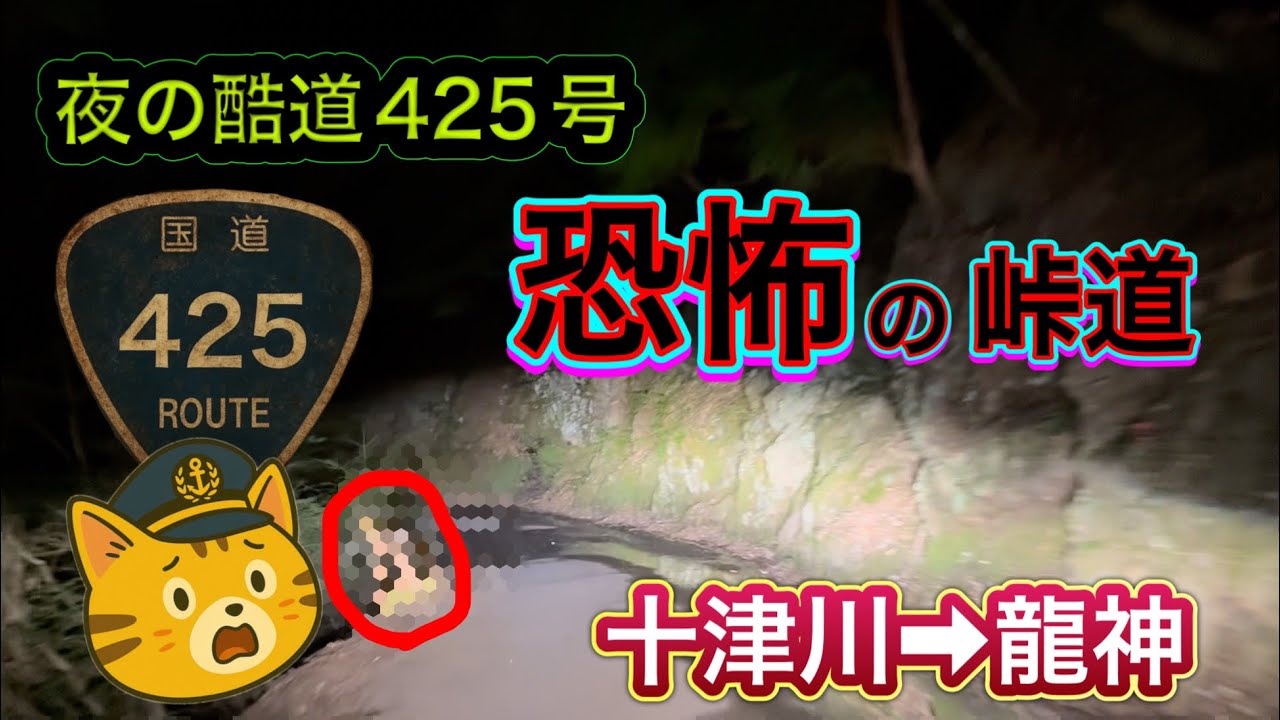 【実況】夜の酷道425号！最恐区間！灯りのない道を進む！！
