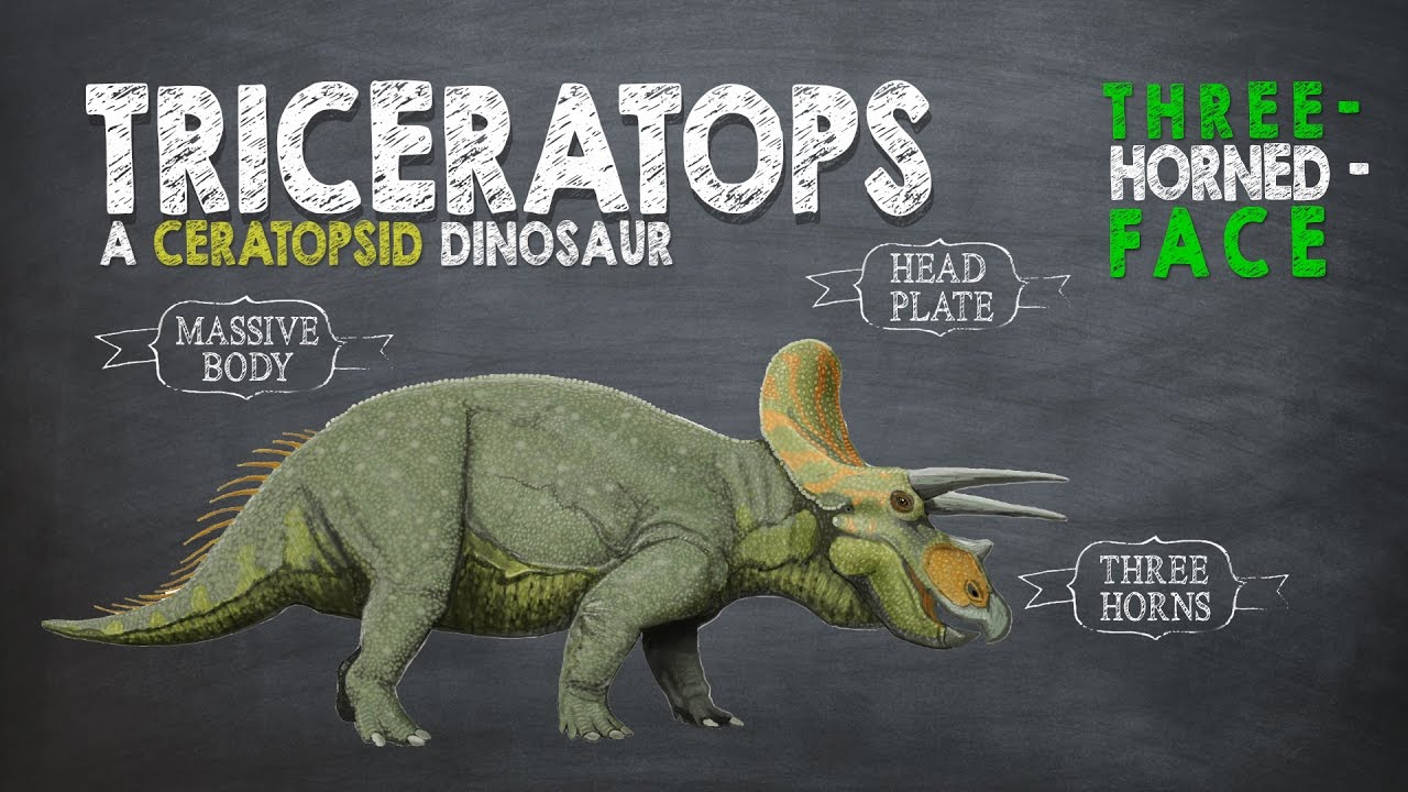 Triceratops Facts! A Dinosaur Facts video about Triceratops, the Three-Horned-Face dinosaur.