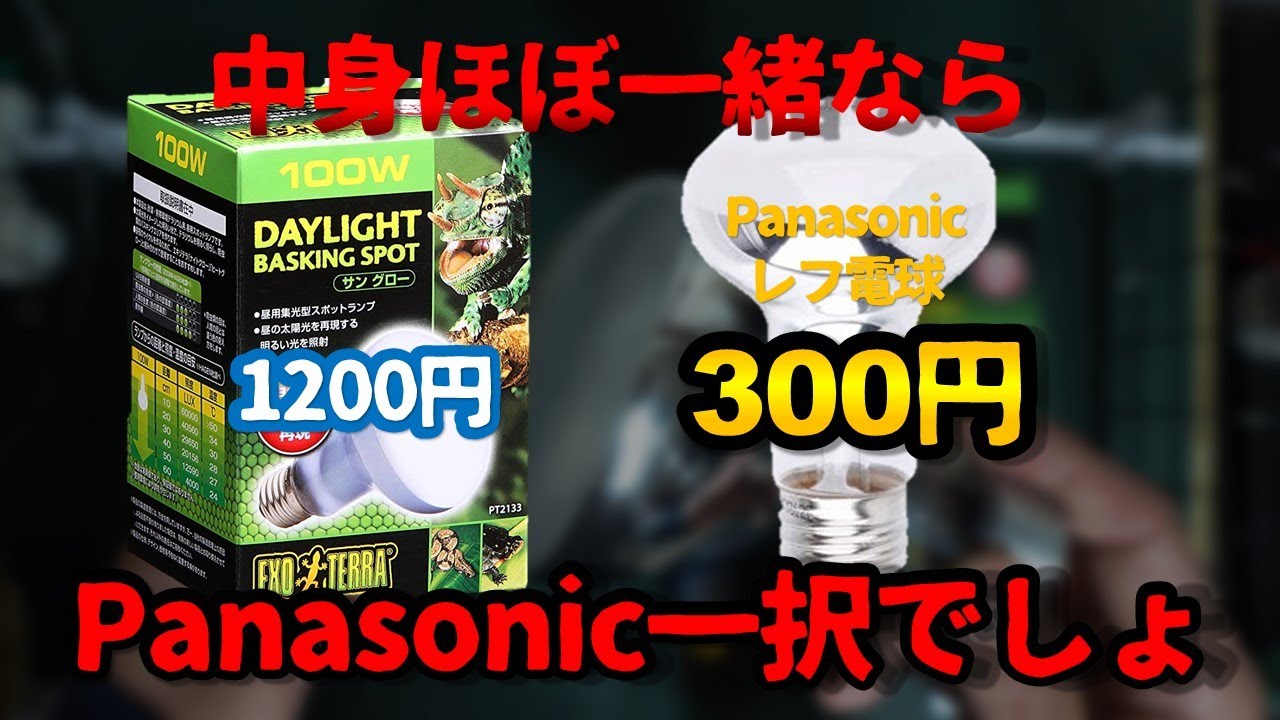 ペット用バスキングライトは普通のレフ電球で十分