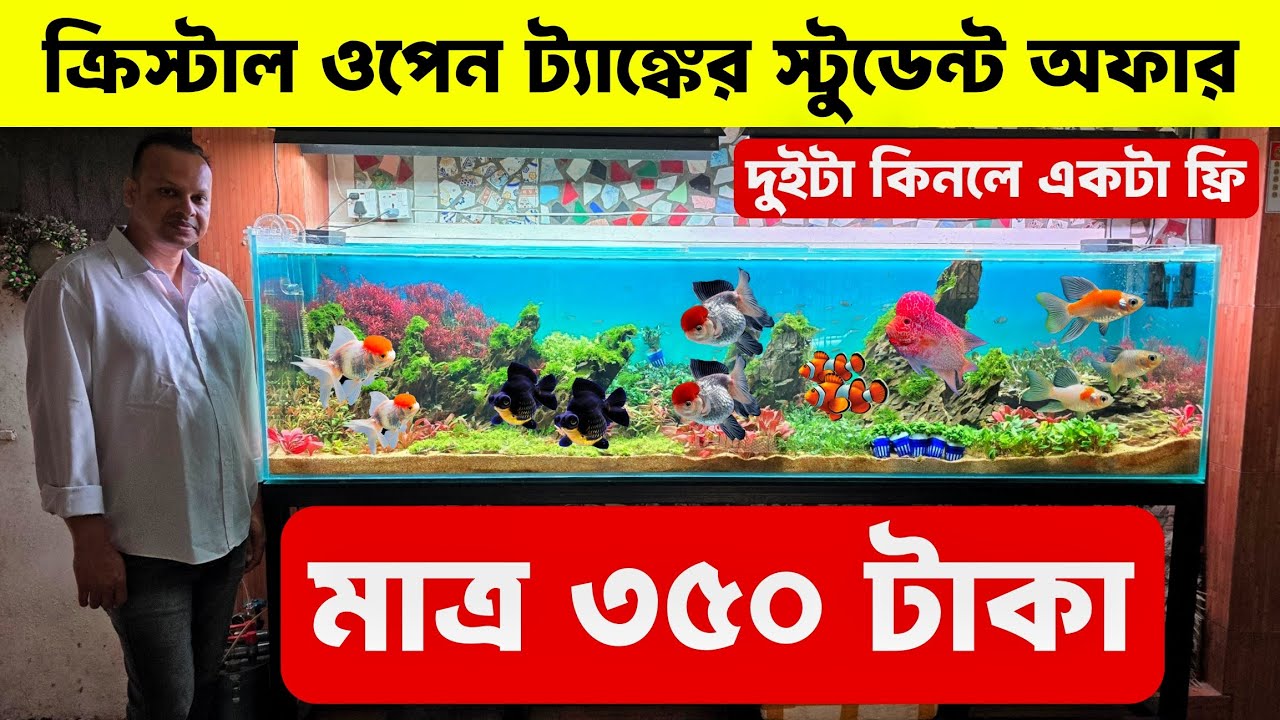 Aquarium Fish Price In Bangladesh 2026🐠Aquarium Fish Price | Aquarium | Aquarium Fish Price In BD🐠