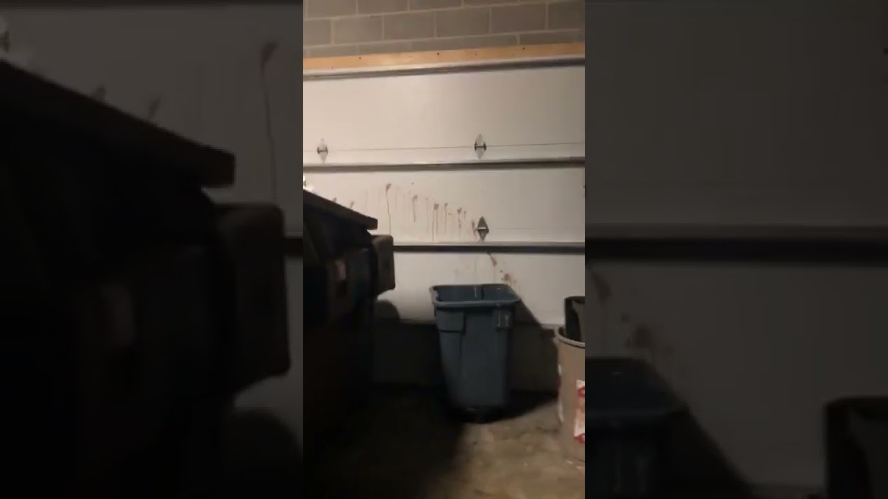 Employee Unknowingly Spills Water All Around Restaurant While Carrying Leaking Trash Bag - 1292550
