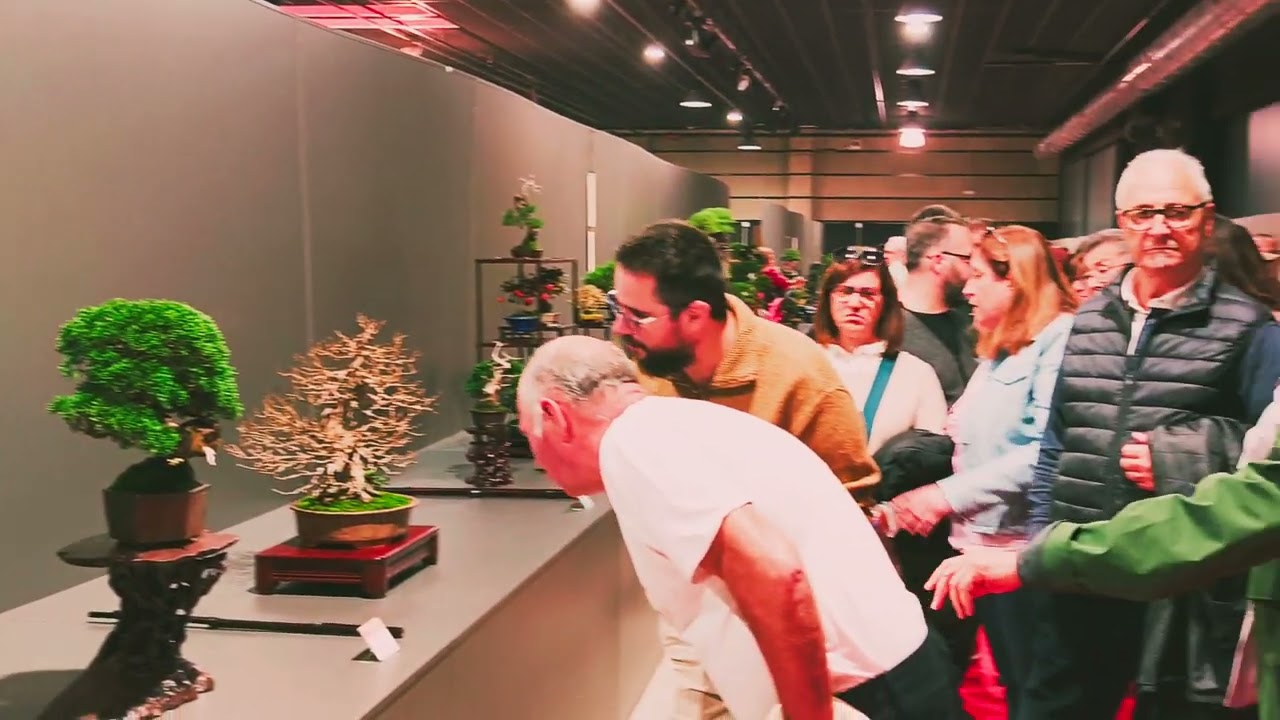 CONGRESO EUROPEO DE BONSAI Y SUISEKI REUS 2024