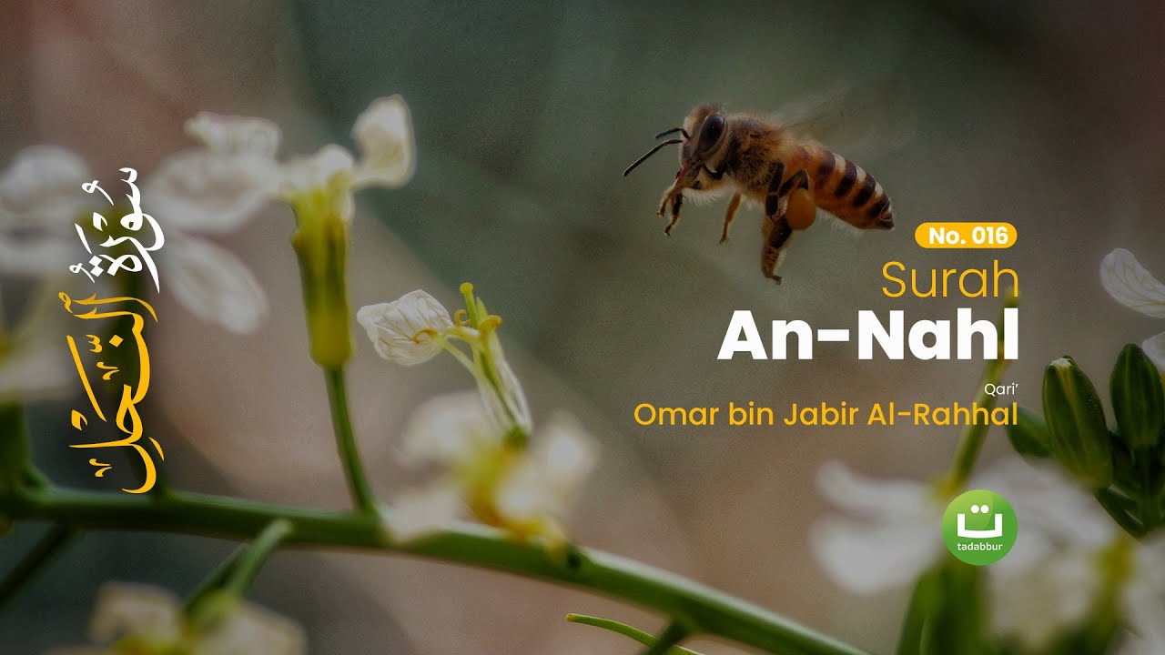 Tadabbur Surah An-Nahl | Nikmat Allah dan Kehidupan | Qari Omar Al Rahhal