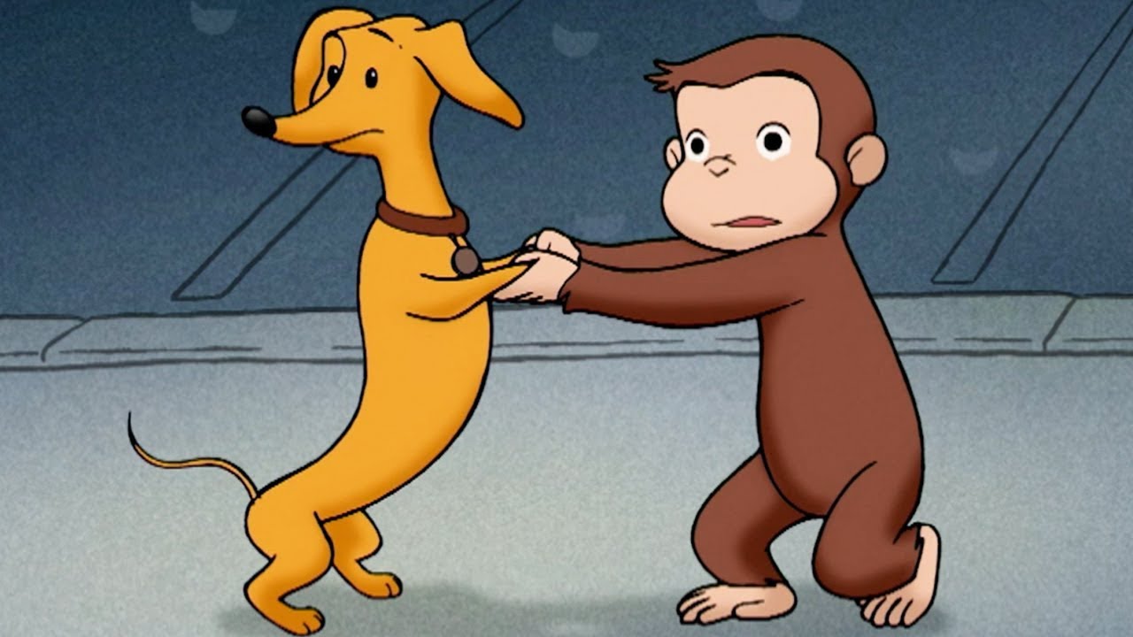 George and Hundley 🐵 Cutest Moments Together 🐵 Funny Cartoon For Kids
