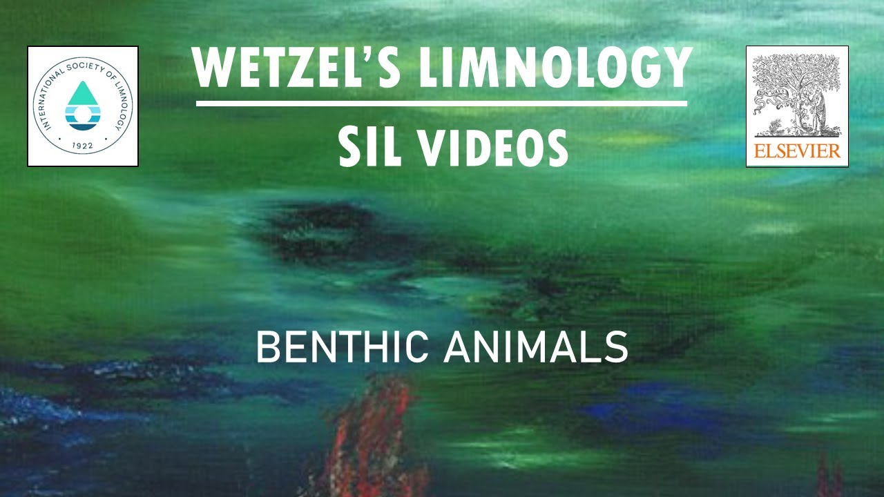 Benthic Animals - Wetzel's SIL Limnology Video