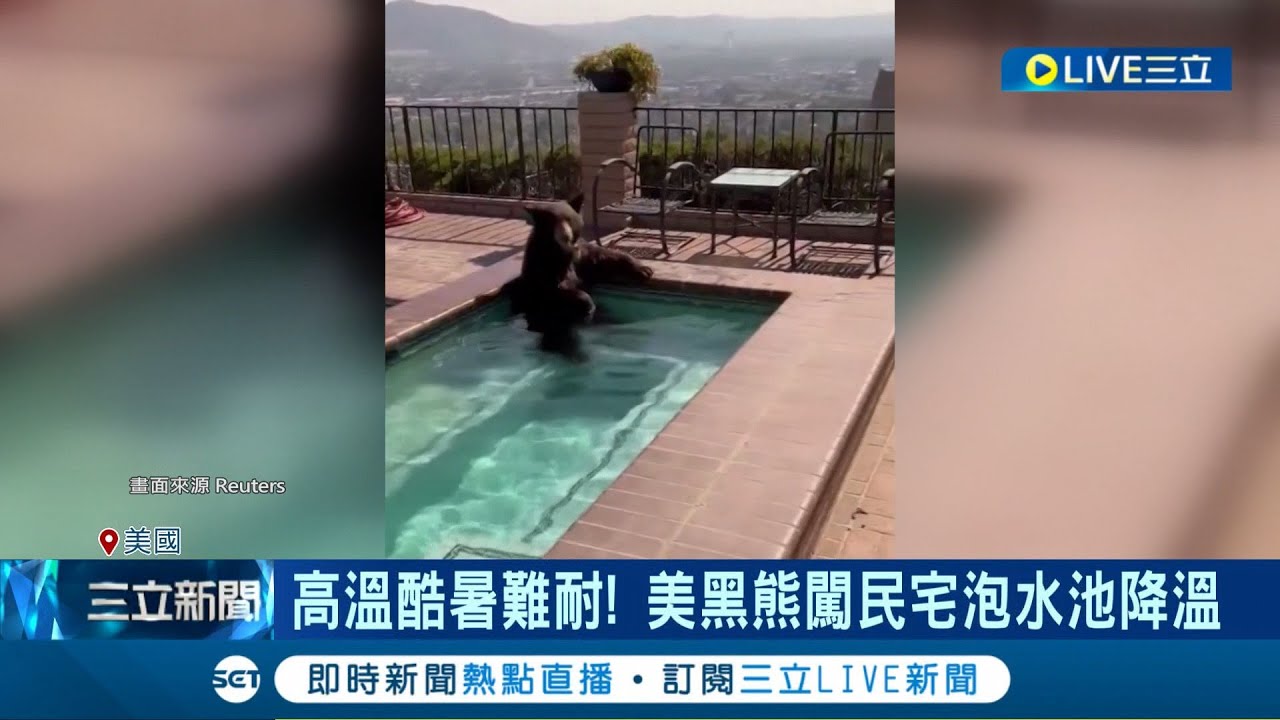 熱到熊也受不了! 高溫氣候酷暑難耐 美黑熊闖民宅泡水池降溫 亞利桑那州氣溫飆升 汽車烤箱能烤餅乾 南韓慶北飆破38度 │記者  黃瓊慧│【國際局勢】20230730│三立iNEWS