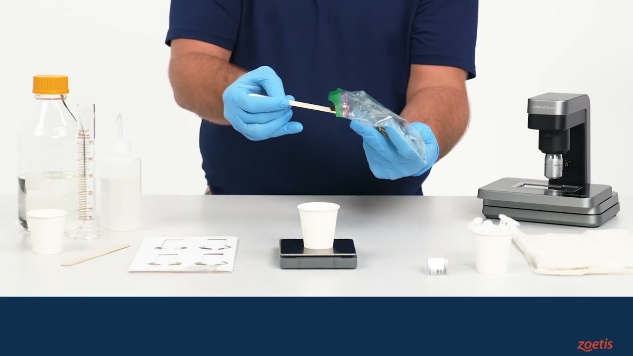 Vetscan Imagyst How to Equine Fecal Video