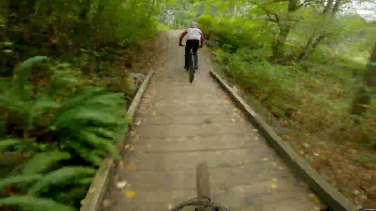 North Road Trail - Burnaby Mountain - BC