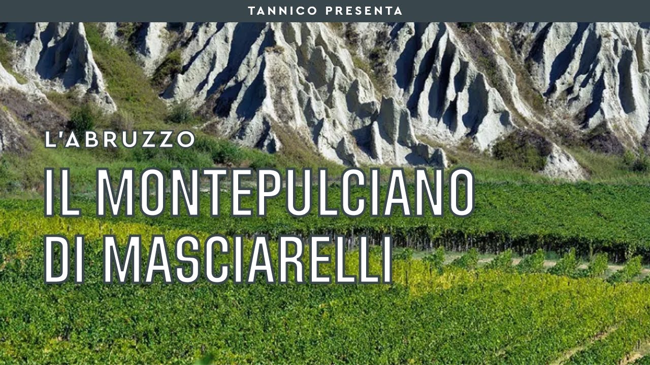 Gianni Masciarelli e il Super Montepulciano | Tannico