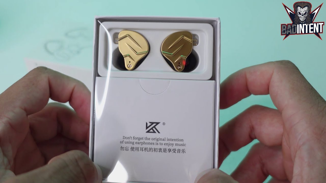 KZ ZSN Pro X Review