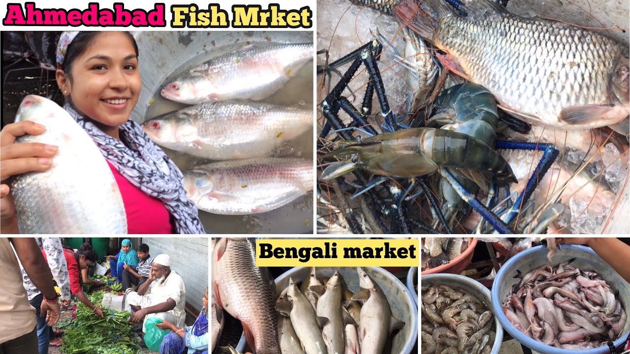 Ahmedabad Fish Market-Big Size Hilsa(ilish) Fish In Gujarat~ Teen Darwaza Vegetable & Non-Veg Market