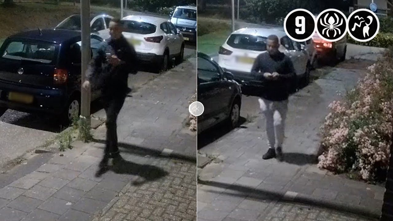 Aalsmeer: Verdachten van inbraak tweemaal goed op beeld