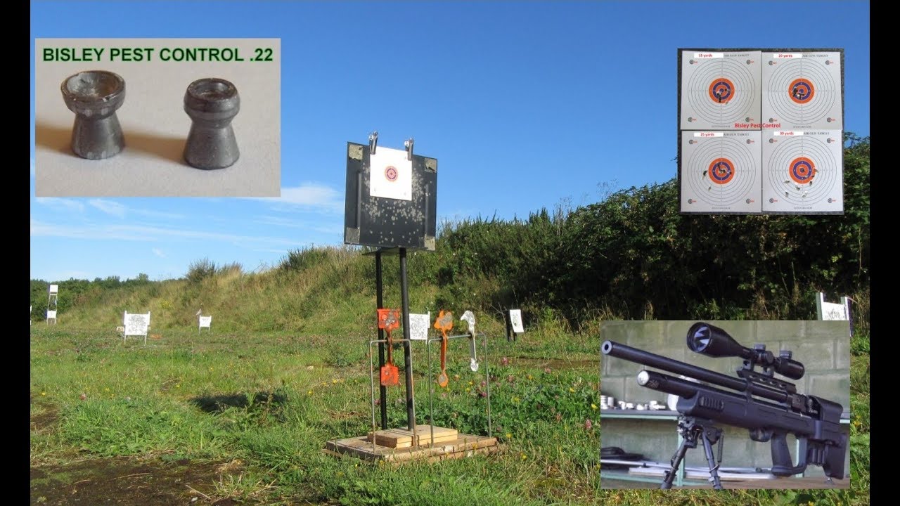 The maximum effective range for accurate shooting with Bisley Pest Control  22 pellets 01 09 17