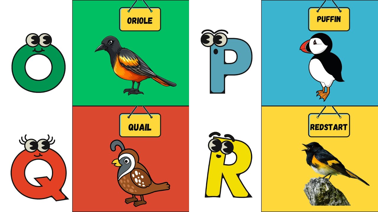 ABC Bird Song 🐦 | Fun Alphabet Song for Kids | Learn Birds from A to Z | #abcd #kids