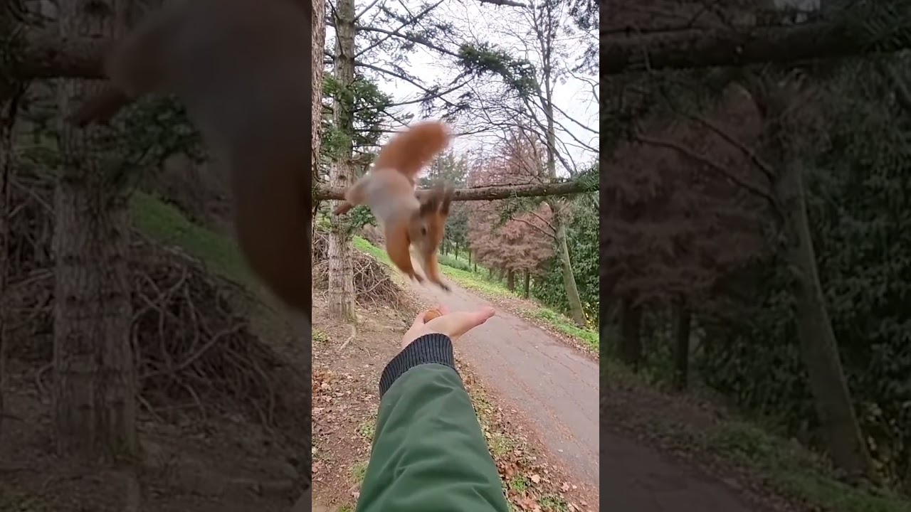 Random Acts Of Kindness That Will Melt Your Heart 