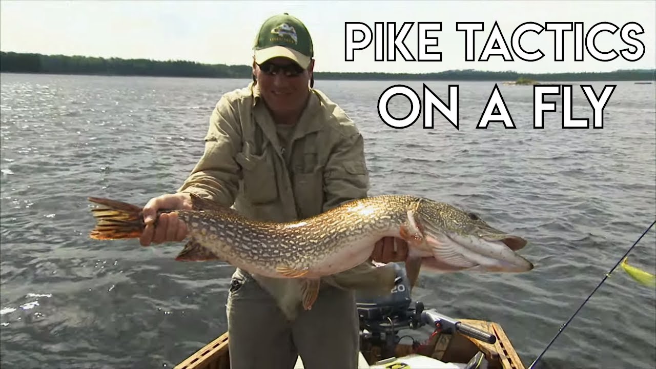 Pike On A Fly Tactics & Techniques