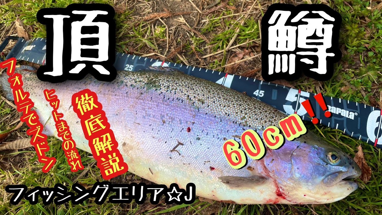 フォルテ0.6ｇでズドン！ロクマル頂鱒　徹底解説【エリアトラウト】