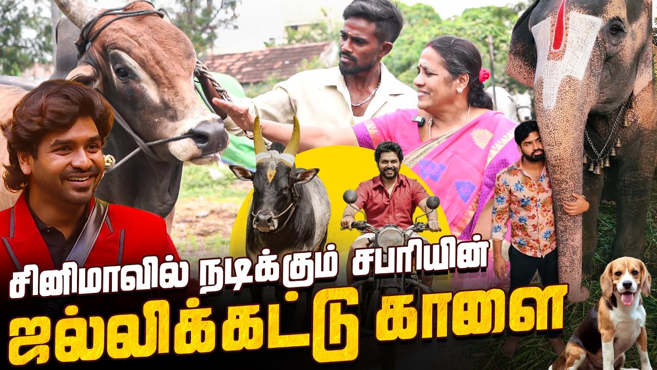 மெய்யழன் காளை BIGG BOSS சபரியோடதா.. 😱 | Home Town Live Visit  | BIGG BOSS SABARI