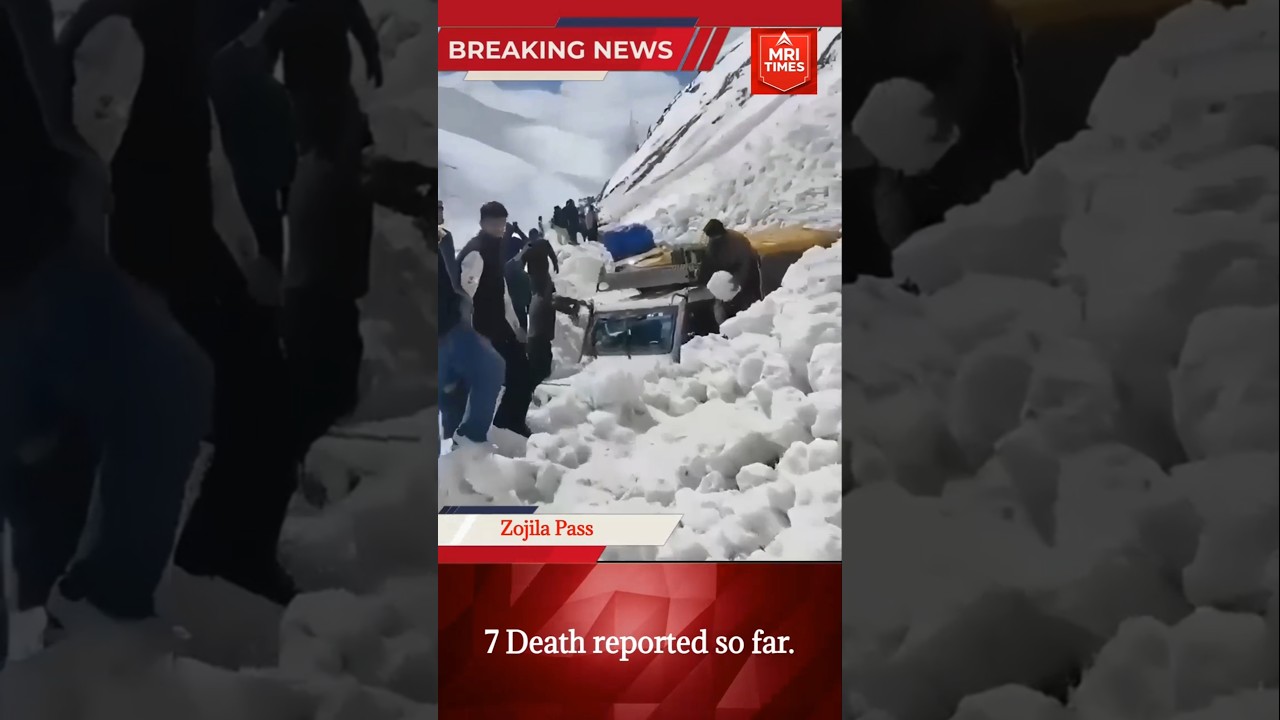 Zojila Pass Avalanche: 7 Dead as Vehicles Buried Near Sonamarg | Jammu Kashmir #BreakingNews #short