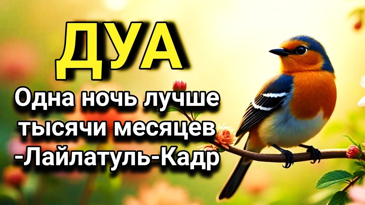🔑 Нечетная ночь Лайлатуль-Кадр — не упусти свой шанс! 🤲💖
