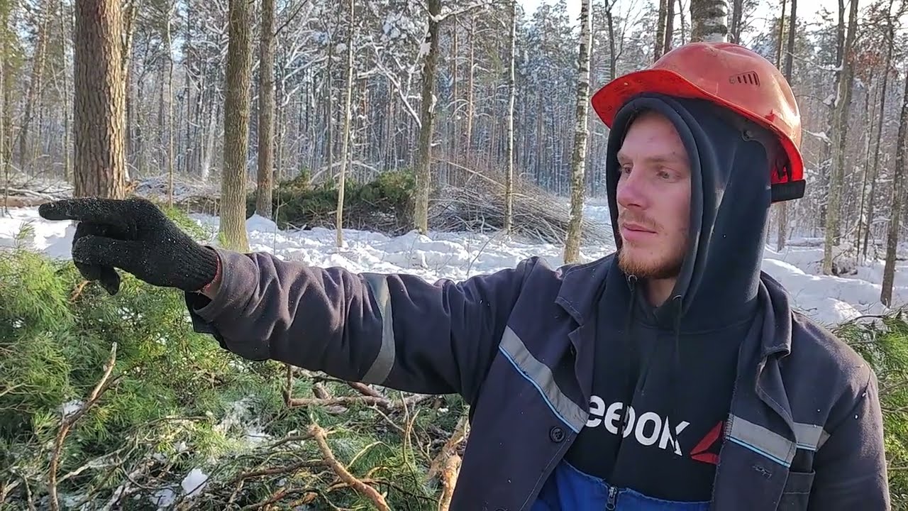 Валка дерева на 60 см с комля Бензопила Stihl MS 361