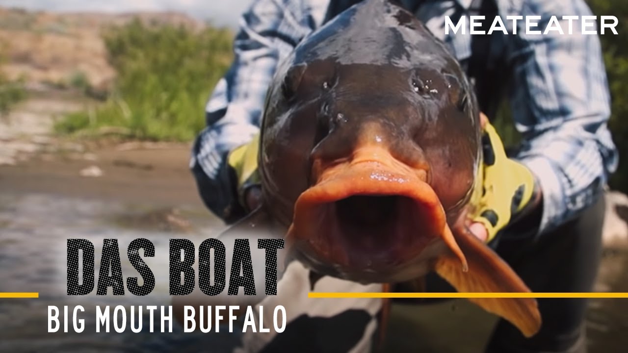 Big Mouth Buffalo w/ Ryan Callaghan & Miles Nolte | S2E05 | Das Boat