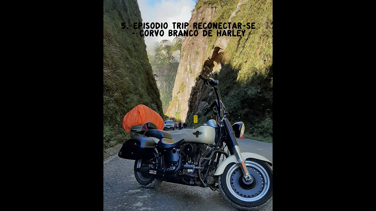 5º EPISODIO: TRIP RECONECTAR-SE | CORVO BRANCO DE HARLEY | Canal Velocidade Cruzeiro