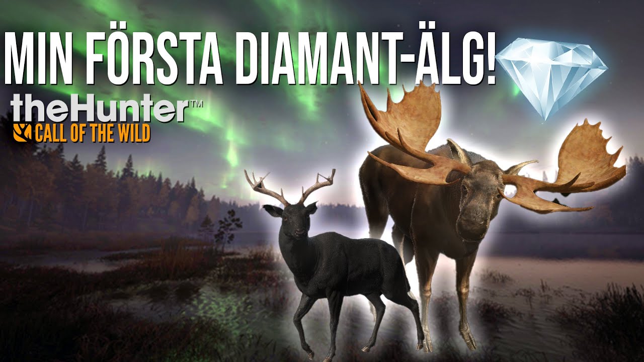 MIN F&Ouml;RSTA DIAMANT-&Auml;LG | The Hunter Call of The Wild