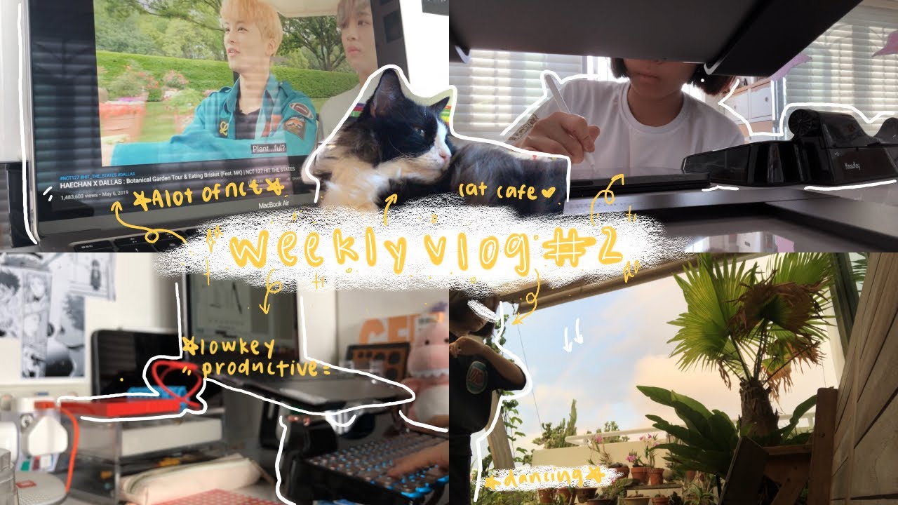 🌙 weekly vlog: last of my 2020 [cat cafe, productivity, shopping] ☀️